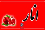 تک بیتی‌های شنیدنی آنات مدیا: انار