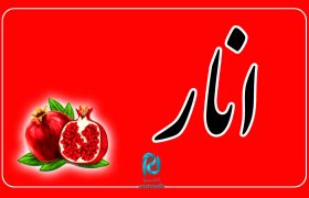 تک بیتی‌های شنیدنی آنات مدیا: انار