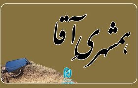 ماجرای تفحص شهید رضا رضایی