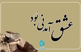 ماجرای قوطی حلبی و ۹ شهید