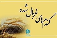 ماجرای خواب سیل و ۳ دسته گل!