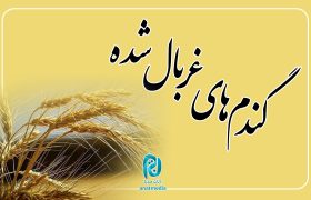 ماجرای خواب سیل و ۳ دسته گل!