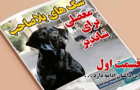 سگ‌های بلاصاحب
