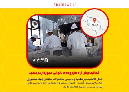 فعالیت بیش از ۲ هزار و ۵۰۰ نانوایی مجوزدار در مشهد
