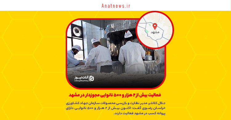 فعالیت بیش از ۲ هزار و ۵۰۰ نانوایی مجوزدار در مشهد
