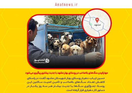 مهارکردن سگ‌های بلاصاحب در روستای بهار مشهد با جدیت بیشتری پیگیری می‌شود