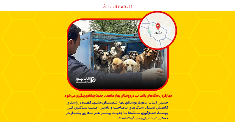 مهارکردن سگ‌های بلاصاحب در روستای بهار مشهد با جدیت بیشتری پیگیری می‌شود