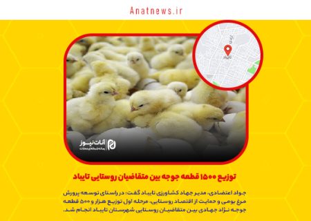 توزیع ۱۵۰۰ قطعه جوجه بین متقاضیان روستایی تایباد