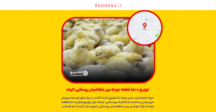 توزیع ۱۵۰۰ قطعه جوجه بین متقاضیان روستایی تایباد