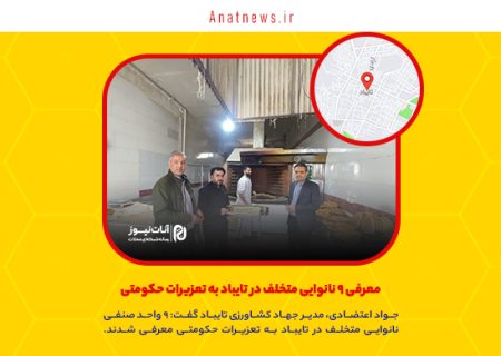 معرفی ۹ نانوایی متخلف در تایباد به تعزیرات حکومتی