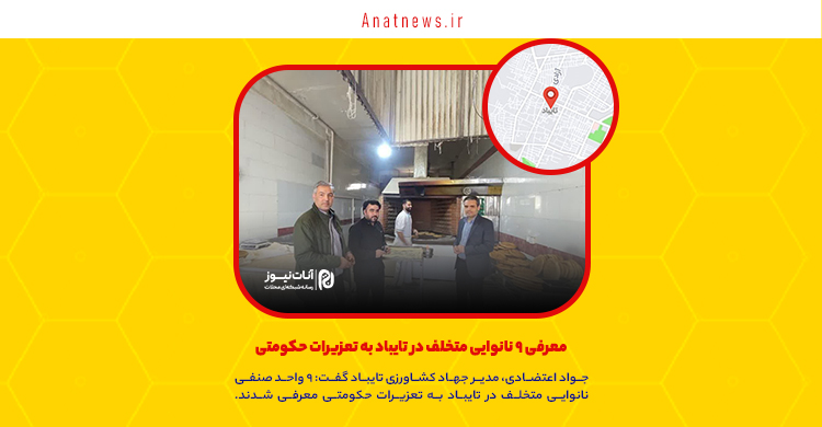 معرفی ۹ نانوایی متخلف در تایباد به تعزیرات حکومتی