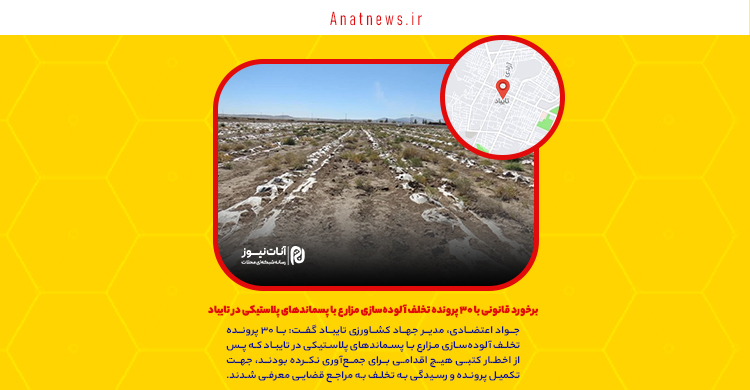 برخورد قانونی با ۳۰ پرونده تخلف آلوده‌سازی مزارع با پسماندهای پلاستیکی در تایباد