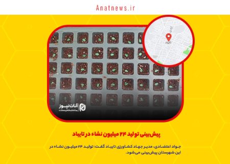 پیش‌بینی تولید ۲۴ میلیون نشاء در تایباد