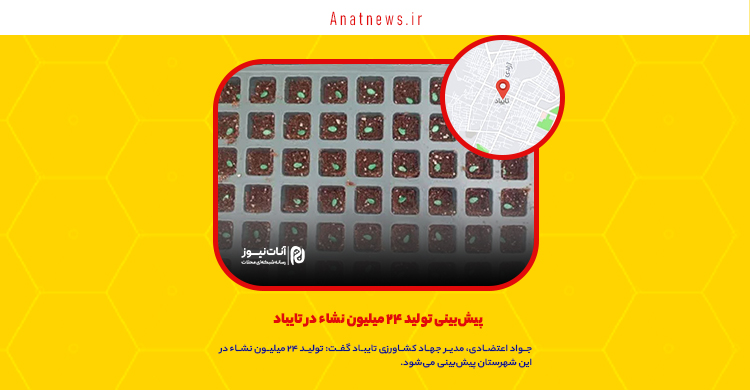 پیش‌بینی تولید ۲۴ میلیون نشاء در تایباد