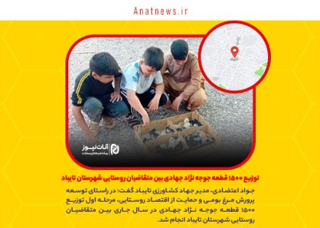 توزیع ۱۵۰۰ قطعه جوجه نژاد جهادی بین متقاضیان روستایی شهرستان تایباد