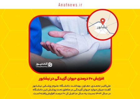 افزایش ۲۰ درصدی حیوان گزیدگی در نیشابور