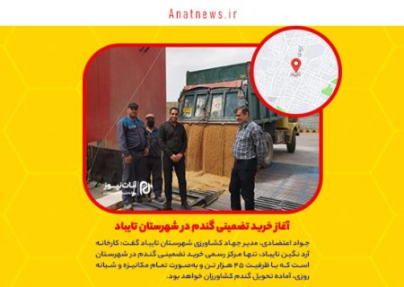 آغاز خرید تضمینی گندم در شهرستان تایباد