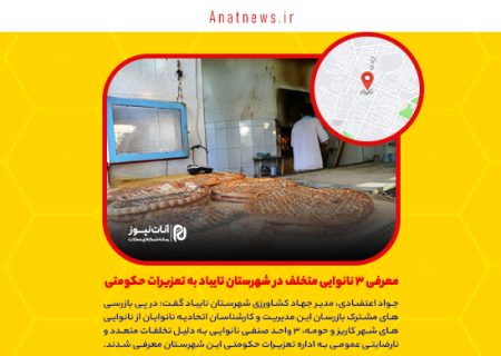 معرفی ۳ نانوایی متخلف در شهرستان تایباد به تعزیرات حکومتی