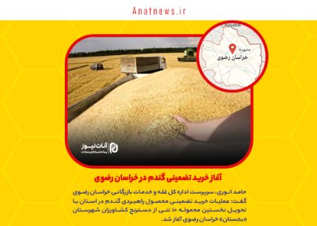 آغاز خرید تضمینی گندم در خراسان رضوی
