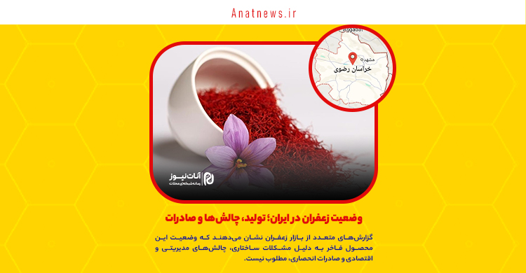 وضعیت زعفران در ایران؛ تولید، چالش‌ها و صادرات