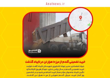 خرید تضمینی گندم از مرز ۱۰ هزار تن در تایباد گذشت