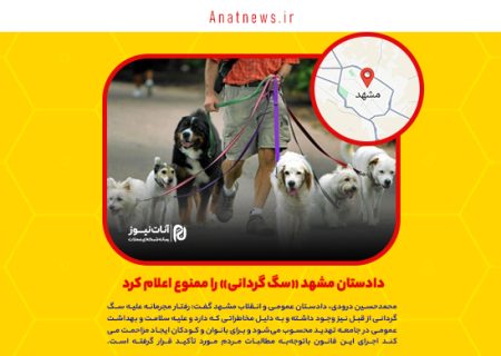 دادستان مشهد «سگ گردانی» را ممنوع اعلام کرد