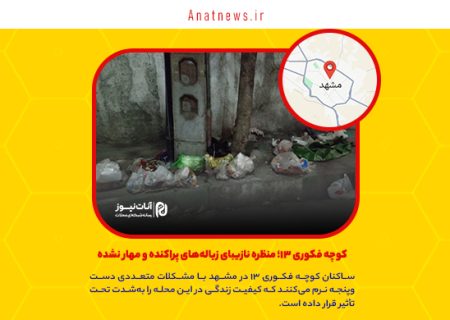 کوچه فکوری ۱۳؛ منظره نازیبای زباله‌های پراکنده و مهار نشده