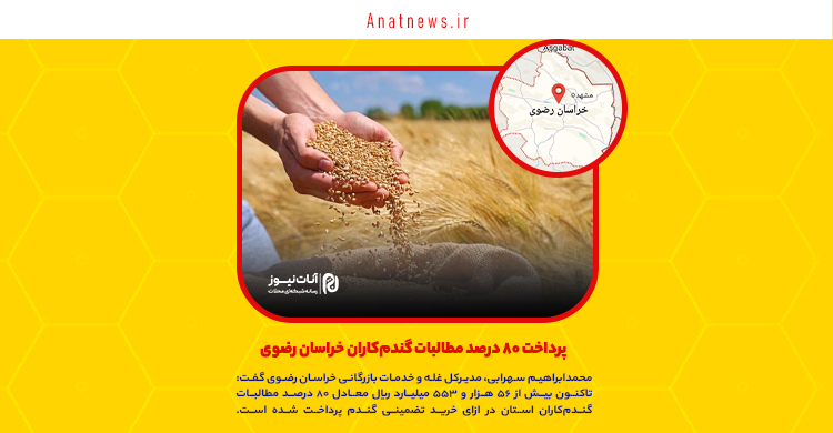 پرداخت ۸۰ درصد مطالبات گندم‌کاران خراسان رضوی
