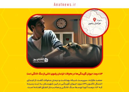 ۸۳ درصد حیوان گزیدگی‌ها در مه‌ولات خراسان رضوی ناشی از سگ هایی است که در خانه نگهداری می شوند
