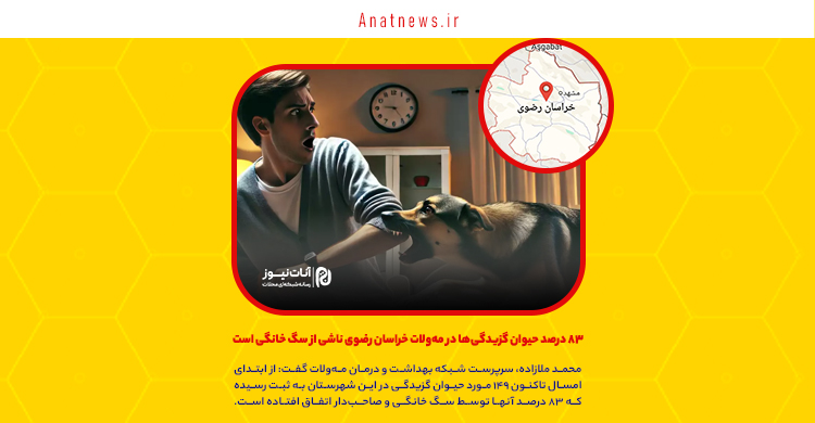 ۸۳ درصد حیوان گزیدگی‌ها در مه‌ولات خراسان رضوی ناشی از سگ هایی است که در خانه نگهداری می شوند