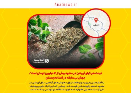 قیمت هر کیلو آویشن در مشهد بیش از ۳ میلیون تومان است/ جهش بی‌سابقه در آستانه زمستان