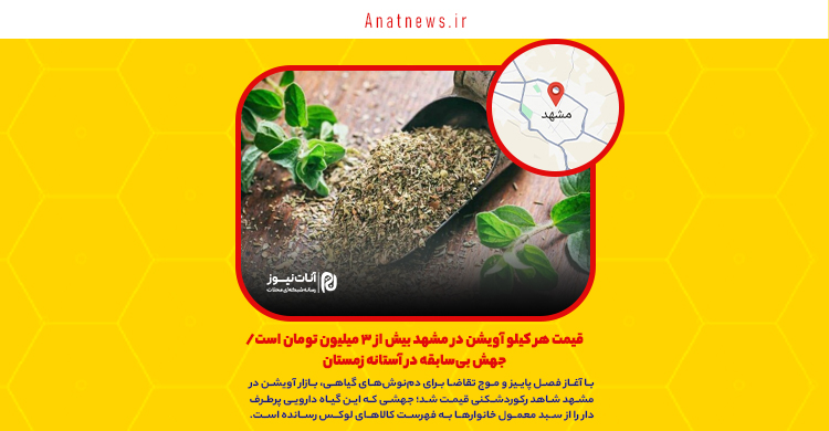 قیمت هر کیلو آویشن در مشهد بیش از ۳ میلیون تومان است/ جهش بی‌سابقه در آستانه زمستان
