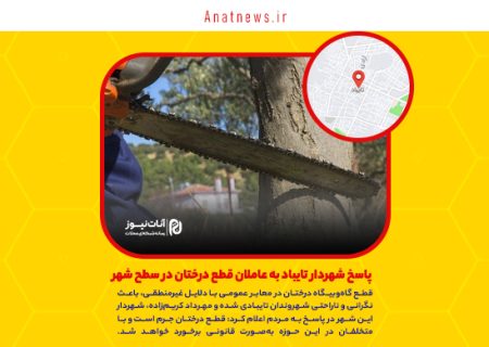 پاسخ شهردار تایباد به عاملان قطع درختان در سطح شهر