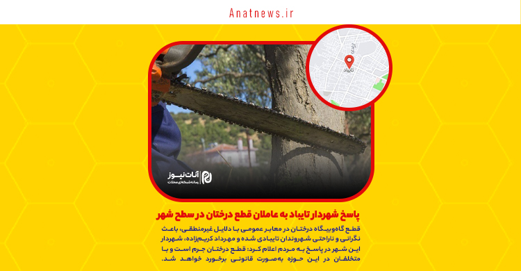 پاسخ شهردار تایباد به عاملان قطع درختان در سطح شهر