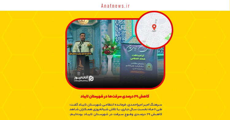 کاهش ۲۹ درصدی سرقت‌ها در شهرستان تایباد