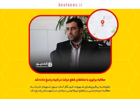 مطالبه برخورد با متخلفان قطع درخت در تایباد پاسخ داده شد