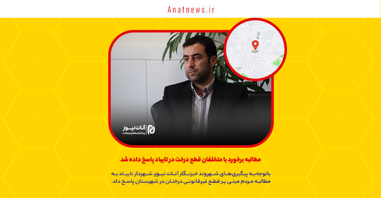مطالبه برخورد با متخلفان قطع درخت در تایباد پاسخ داده شد