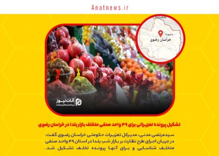 تشکیل پرونده تعزیراتی برای ۴۹ واحد صنفی متخلف بازار یلدا در خراسان رضوی