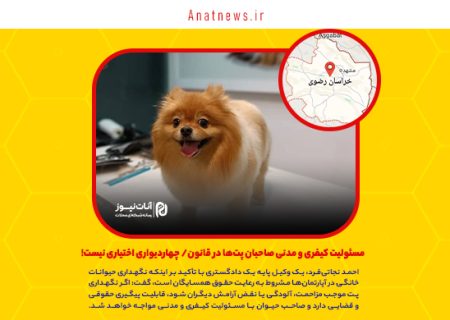 مسئولیت کیفری و مدنی صاحبان پت‌ها در قانون/ چهاردیواری اختیاری نیست!