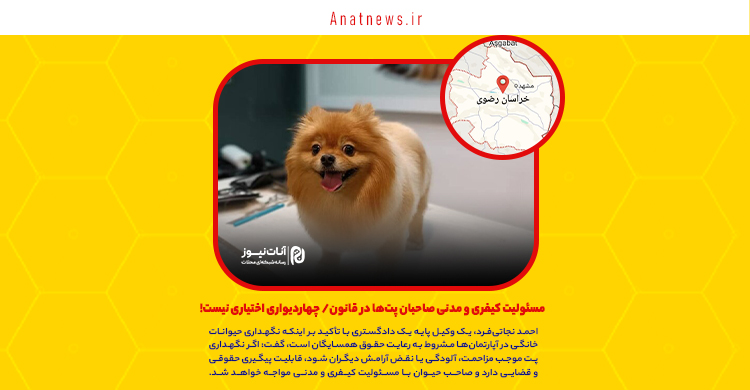 مسئولیت کیفری و مدنی صاحبان پت‌ها در قانون/ چهاردیواری اختیاری نیست!